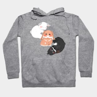 Yin yang Sean Bailey Claude Sleeping | Bunniesmee Hoodie